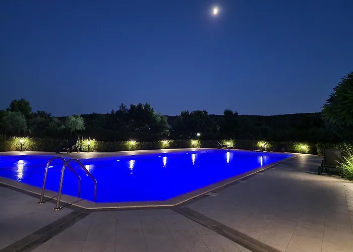 Sunny In Shartrez شكوربيلوفتسي